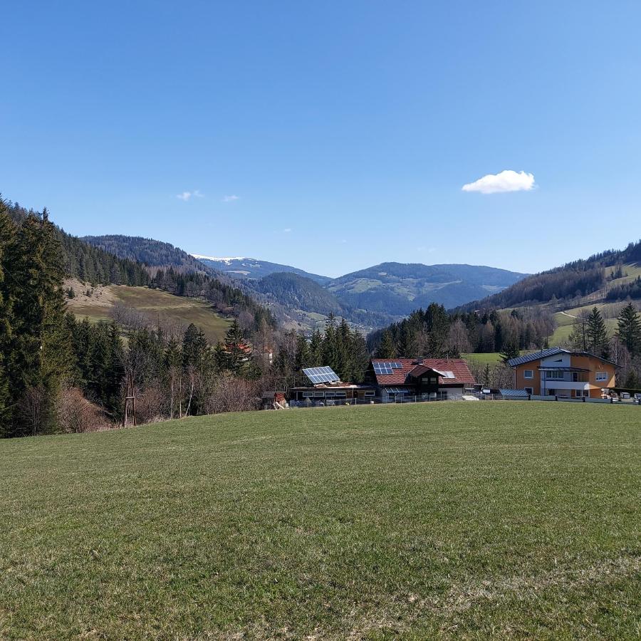 Ferienwohnung Greimblick Sankt Peter am Kammersberg Exterior foto