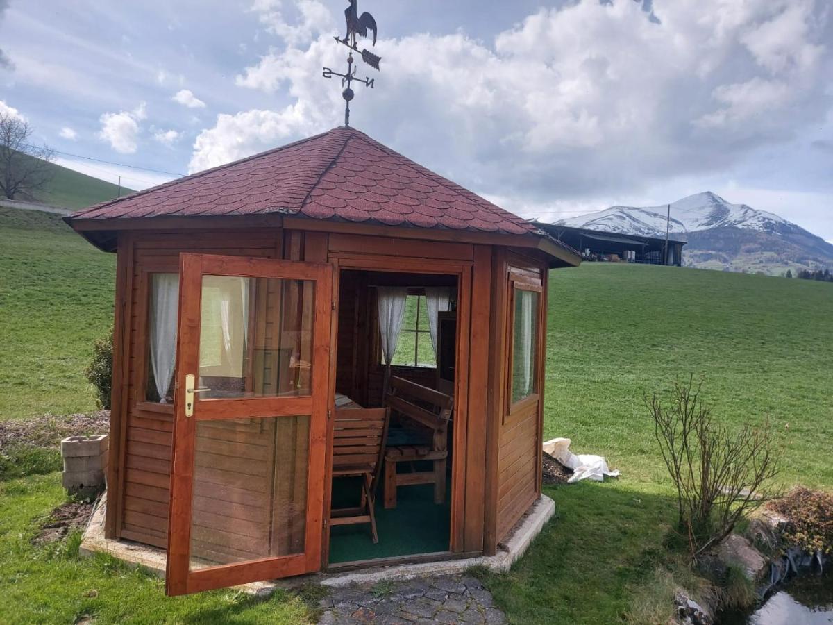 Ferienwohnung Greimblick Sankt Peter am Kammersberg Exterior foto